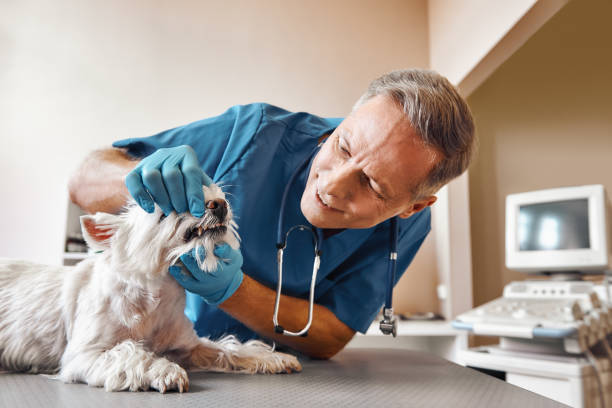 Best Weekend Emergency Dentist in Worthgton, IN